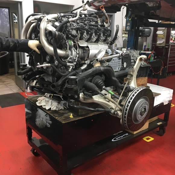 Meet your Posher, Paul - Picture 1 of 1